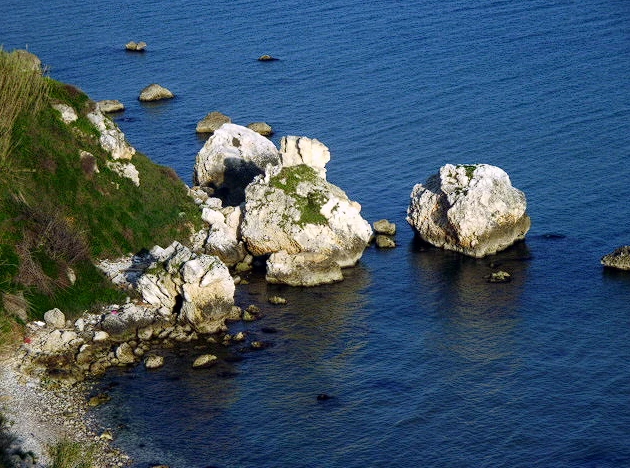 Rodi